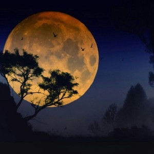 Full Moon in Cancer December 2012