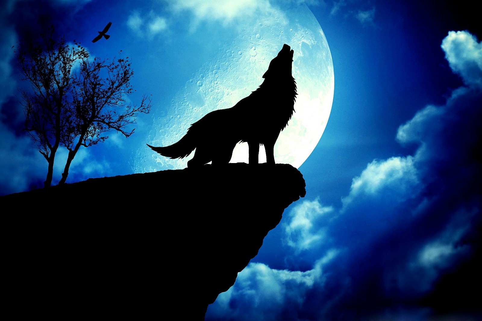 Full Moon in Cancer 2014 emotional explosions howling at the moon